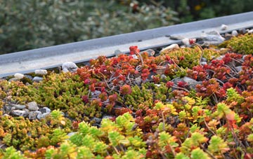 the cost of Misterton Soss green roof installation