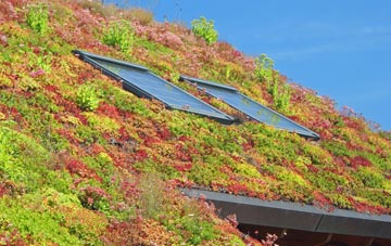 Misterton Soss living roof systems
